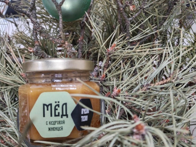 Крещенские морозы в Томске: как защитить здоровье с помощью натурального мёда